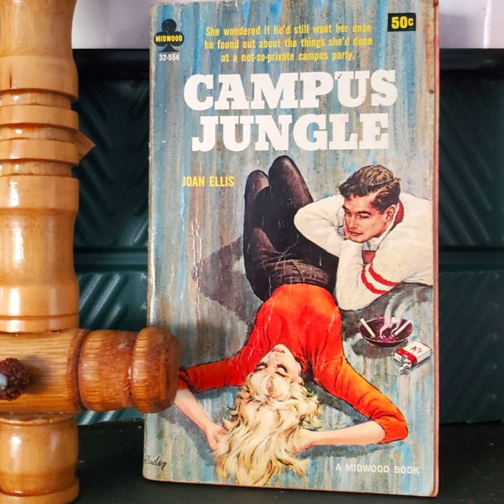 Vintage Book "Campus Jungle" interesting conversation peice